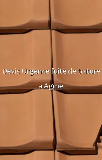 Devis Urgence fuite de toiture a Agme